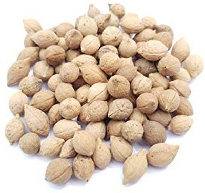 ORGANIC HERBS PUTRAJEEVAK SEEDS Seed(50 per packet)