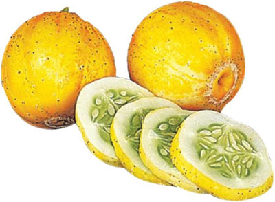 Qualtivate GBPT-8A Lemon Cucumber Seeds Seed(300 per packet)