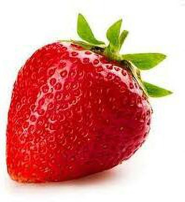 XOLDAA XOLDAA F1quality hybrid strawberry seeds Seed(40 per packet)