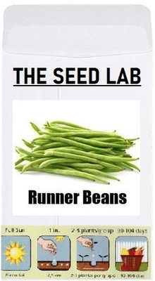 KNESSiN Runner Beans Seed(50 per packet)