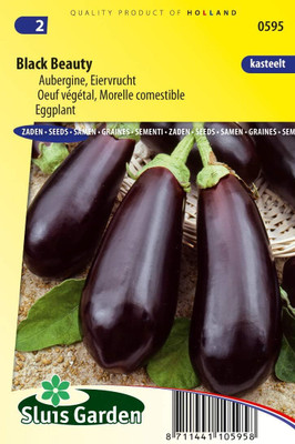 KNESSiN Early-Maturing Brinjal Black Beauty Vegetable ( Seeds) Seed(2000 per packet)