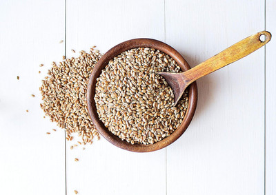 WILLVINE Wheat Grass Seeds - Wheatgrass Microgreens-[5000 Seeds] Seed(5000 per packet)