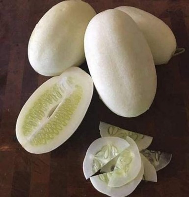 Qualtivate HUA-4A White Cucumber Seeds Seed(300 per packet)