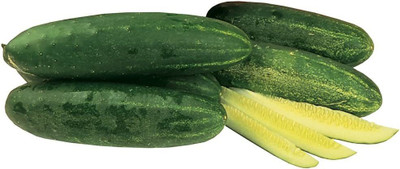 VibeX ® VLR-469 Hybrid II Slicing Cucumber Seeds Seed(200 per packet)