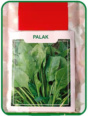 Qualtivate HUA-2A Hybrid Spinach (Paalak) Seeds Seed(300 per packet)