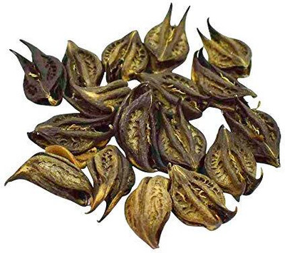 QWGPT Bhootkeshi, Selinum Vaginatum, Beg Kharfas Seed, Bichoo Phal, Bichhu Phal, Bat Head Root Seed(30 per packet)