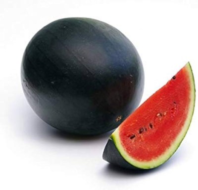 BJUBAS Black watermelon seeds PACK OF 57 Seed(57 per packet)