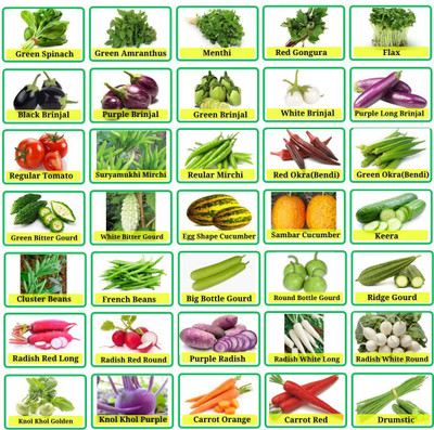 CRGO VEGETABLE COMBO Seed(2200 per packet)