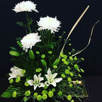 XOLDA Exotic chrysanthemum white Seed(21 per packet)