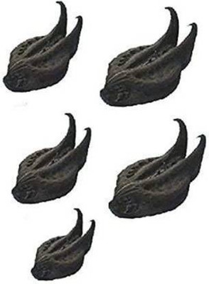 imtion BAT ROOT HEAD Seed(11 per packet)