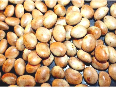 Plantzoin Jackfruit Seed(10 per packet)