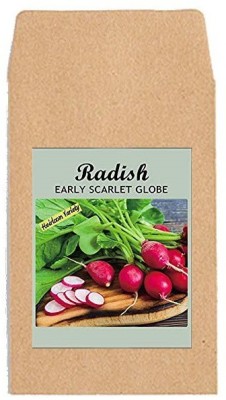 CYBEXIS Hybrid Vegetable Seeds-Radish Scarlet Globe2400 Seeds Seed(2400 per packet)