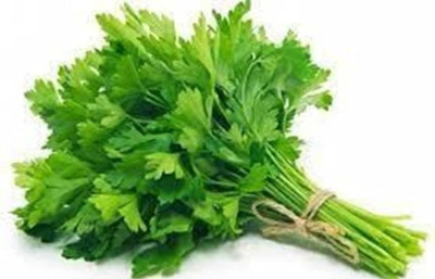 LPT HARA DHANIYA Seed(1000 per packet)