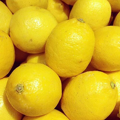 LPR NIMBU,LEMON Seed(190 per packet)