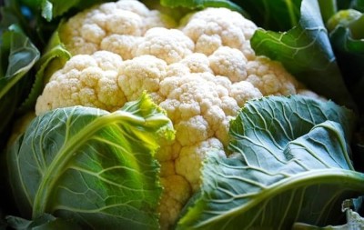 BJUBAS Cauliflower Seeds (WINTER SEASON SPECIAL) pack of 67 Seed(67 per packet)