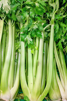 XOLDA Organic Celery Seed(26 per packet)