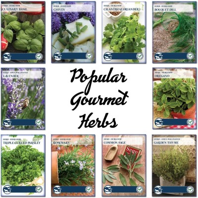 CYBEXIS Basil Seeds, Cilantro Seeds, Lavender Seeds, Rosemary Seeds, Thyme Seeds & More Seed(10 g)