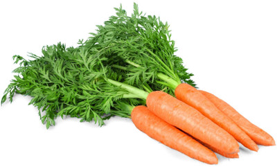 N.G.M. AGROCARE F1 Hybrid Carrot Vegetable Seed(100 per packet)