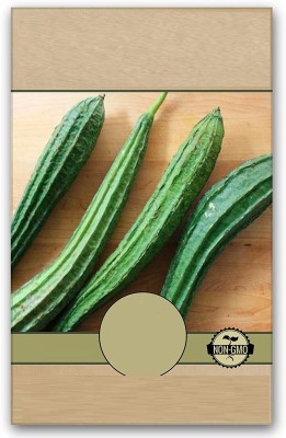 VibeX ® VLR-332 RIDGE GOURD SEEDS/PEERKANGAI SEEDS Seed(50 per packet)