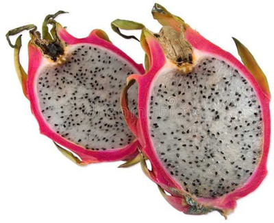 Oliver imported@ hybrid dragon fruit seed Seed(110 per packet)