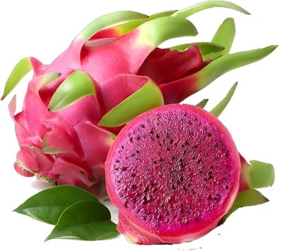 Aywal Mix Dragon fruit Seed(80 per packet)