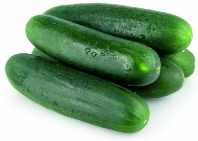 Avysa CUCUMBER SEEDS SUNNY CREEK-CuC_1269 Seed(250 per packet)