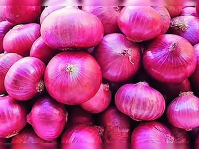 SeedHaven onion fresh Seed(100 per packet)