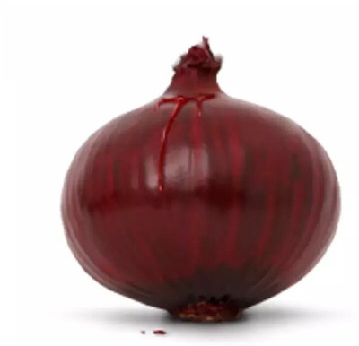 Quentova Dark Red Onion/Pyaj-PUA-3R Seed(300 per packet)
