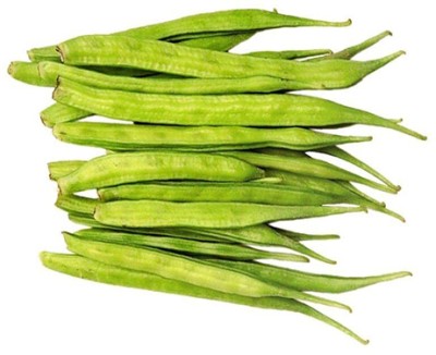 Quentova Cluster Beans (Guar Phali)-7C-TKK Seed(50 per packet)