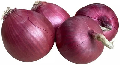 KEROS Nasik Onion Seed(300 per packet)