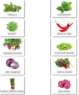 CYBEXIS Seeds for Planting Heirloom Seed(10 g)