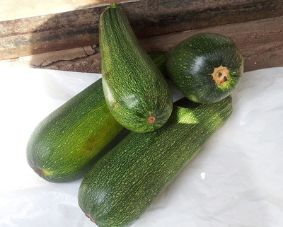 VibeX ® LXI-304 Light Green Zucchini Courgette Squash Seed(100 per packet)