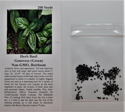 Qualtivate PAU-55 Sweet Basil Genovese Ocimum Basilicum Seed(1000 per packet)