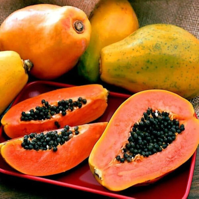 BDSresolve PAPAYA PLANTING SEEDS FOR GARDENING Seed(30 per packet)