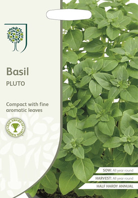 WILLVINE BASIL Pluto Seeds-[2000 Seeds] Seed(2000 per packet)