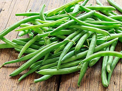 Aywal F1 Hybrid Beans Dwarf French Seed(13 per packet)