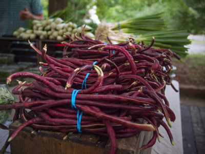 Arshiayat Red Cowpea Beans (लोबिया) Lal Barbati For Home Gardning Seed(64 per packet)