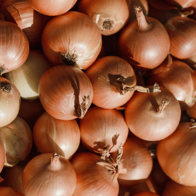 Biosnyg High Germination Spanish Giant Onion Seeds for Home Gardening-(3000 Seeds) Seed(3000 per packet)