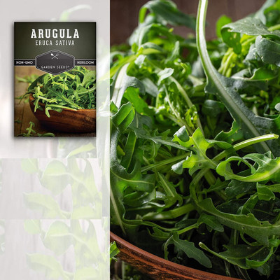 VibeX LX-98 - Selvatica Arugula - (2250 Seeds) Seed(2250 per packet)