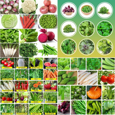 ibains Hybrid vegetable seeds combo biij 228 Seed(212 per packet)