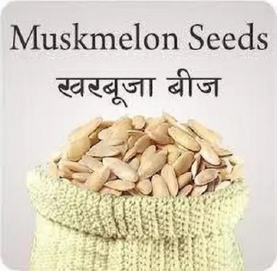 Qualtivate HUA-7A Durgapur Madhu Kharbuj / Musk Melon Seed(200 per packet)