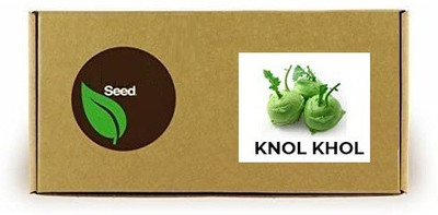 CYBEXIS Knol Khol2000 Seeds Seed(2000 per packet)