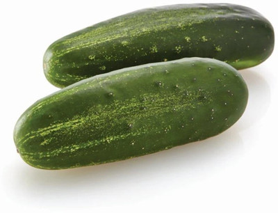 Avysa Cucumber Diva F1 Seed-CuC_1250 Seed(250 per packet)