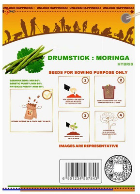 VibeX ® VMR-297 Moringa Seeds Pkm1 Organic Large Size Seed(100 per packet)