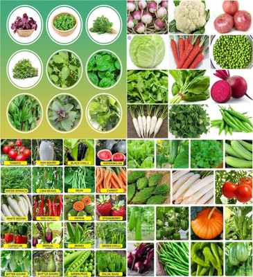 ibains Vegetable seeds for rainy season beez 201 Seed(201 per packet)