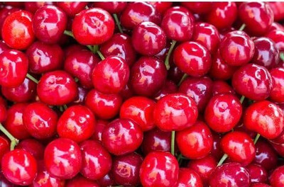 Aywal maroon cherry fruit Seed(2 per packet)