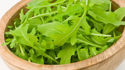 CEZIUS Rocket Arugula/Rucola Herb Plant Seed(100 per packet)