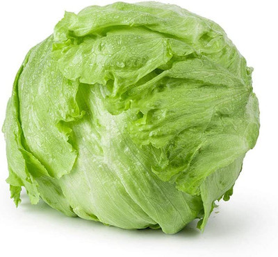 CYBEXIS Iceberg Lettuce Seeds 1000 Seeds Seed(1000 per packet)