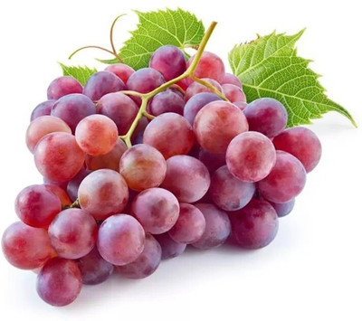 Quentova अंगूर के बीज Red Grapes Fruit-SWAT-5J Seed(100 per packet)
