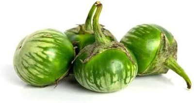 Biosnyg Organic Green Round Brinjal Vegetable (400 Seeds) Seed(400 per packet)